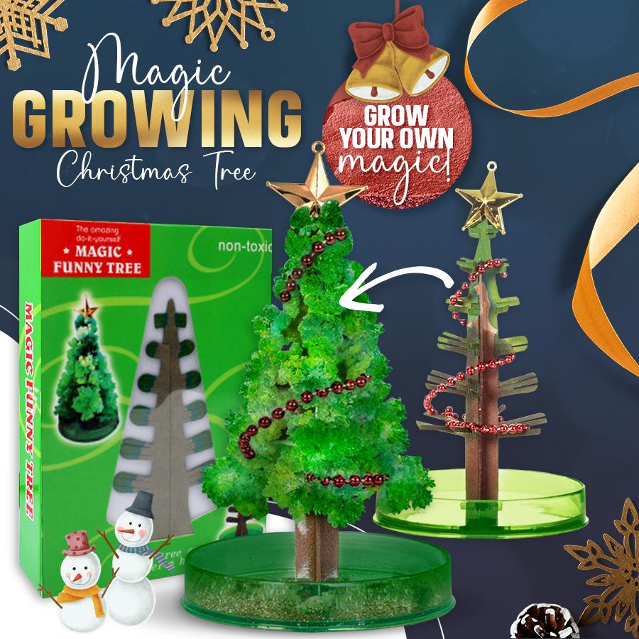 Magic Growing Christmas Tree