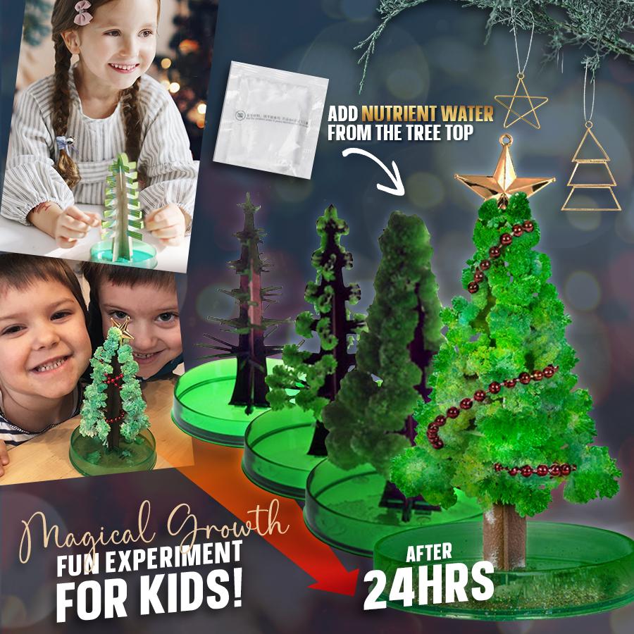 Magic Growing Christmas Tree