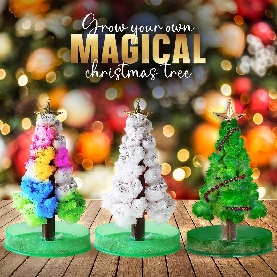 Magic Growing Christmas Tree
